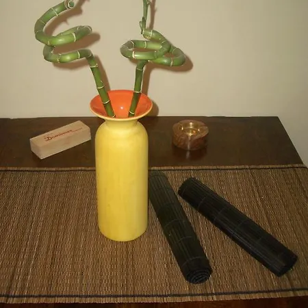 Panorama Apartment *