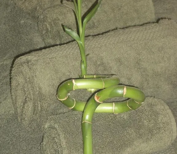 Apartament Panorama Sitges